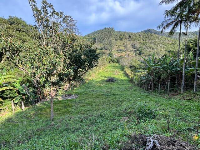 #910 - Área para Venda em Paulo Lopes - SC