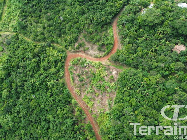 Área para Venda em Garopaba - 4