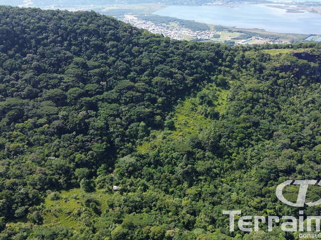 Área para Venda em Garopaba - 4