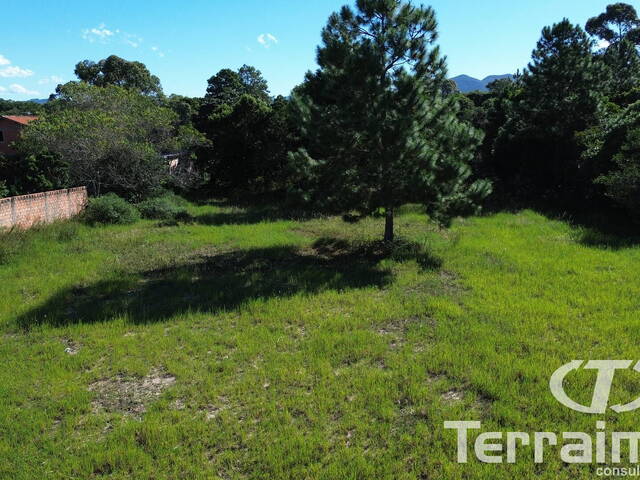 #984 - Área para Venda em Garopaba - SC