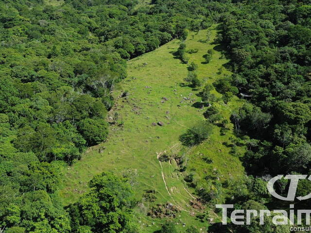 Área para Venda em Garopaba - 5
