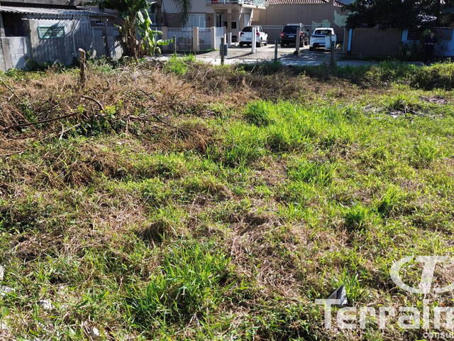Área para Venda em Garopaba - 5