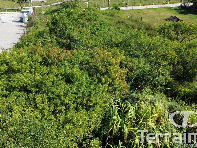 Área para Venda em Garopaba - 4