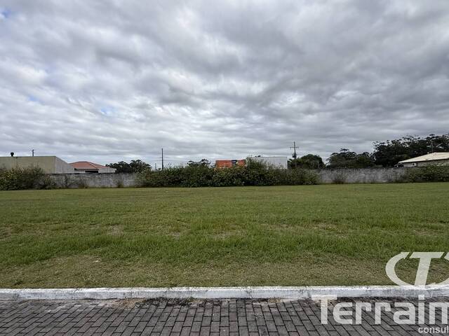 Terreno para Venda em Garopaba - 4