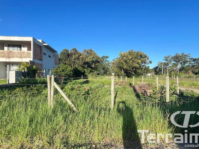 Venda em Limpa - Garopaba