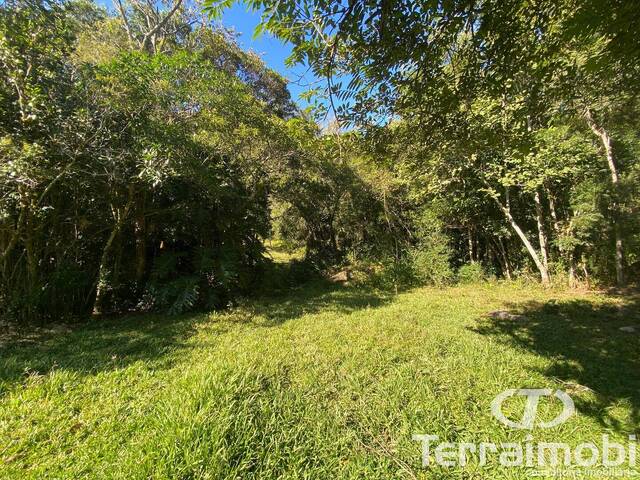 Área para Venda em Garopaba - 5