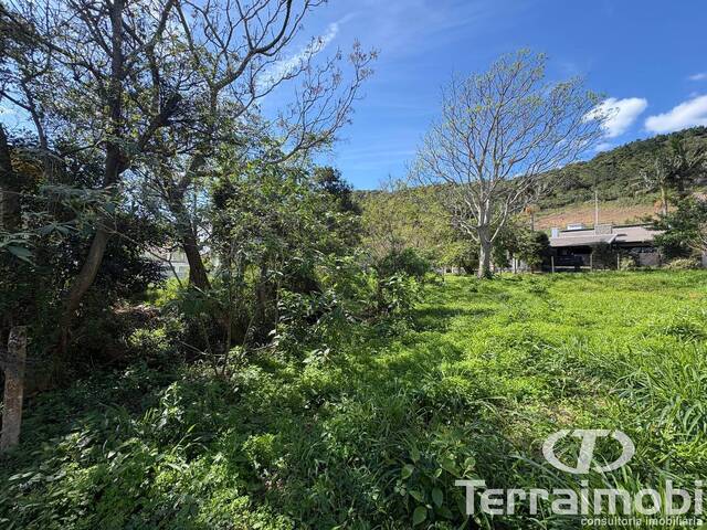 Terreno para Venda em Garopaba - 5