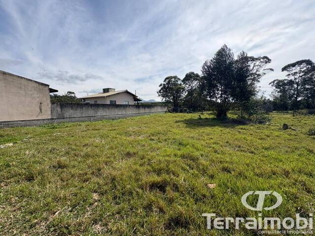 Terreno para Venda em Garopaba - 4
