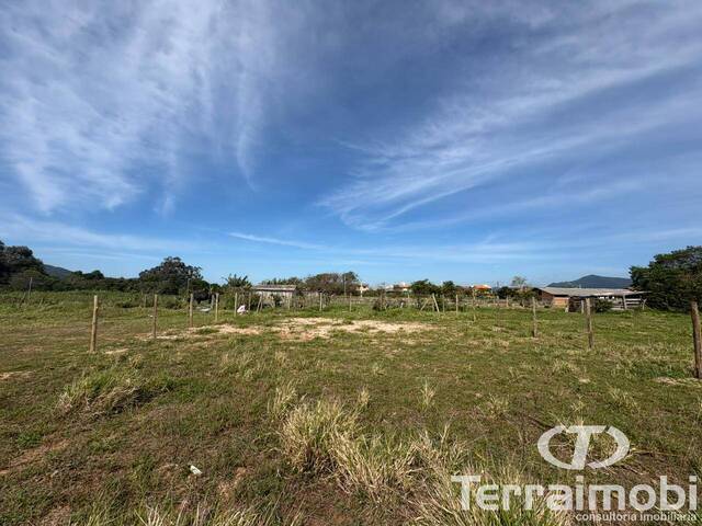 #1181 - Terreno para Venda em Garopaba - SC