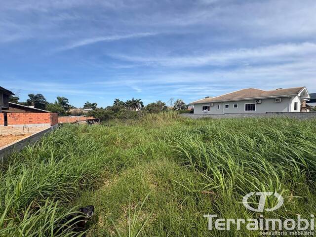 #1187 - Terreno para Venda em Garopaba - SC