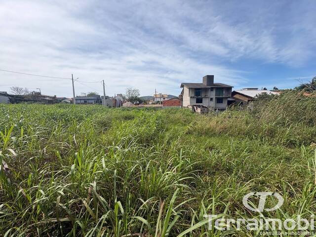 Terreno para Venda em Garopaba - 4